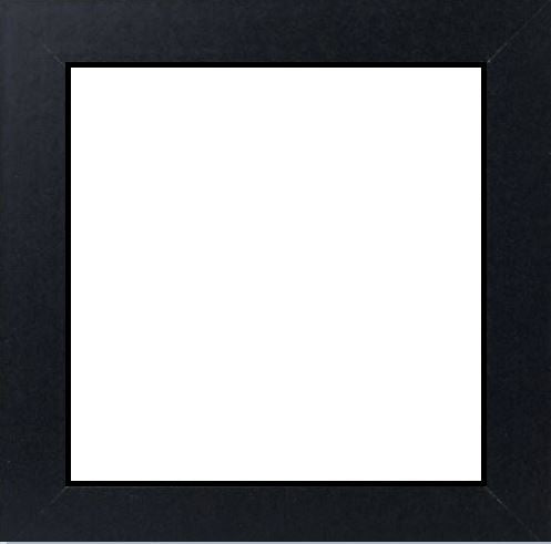 The Frames 10x10 is a sleek black square picture frame with a white background, perfect for showcasing your cherished 10 x 10 photos. An ideal addition to any collection of picture or box frames.